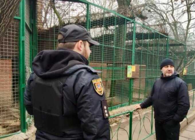 Леопард напав на людину в зоопарку Одеси: тварину довелося застрелити